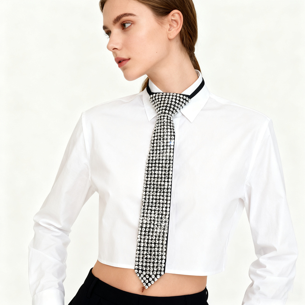 Retro Rhinestone Crystal Tie U - Men'S Formal Wear Jewelry recension och pris